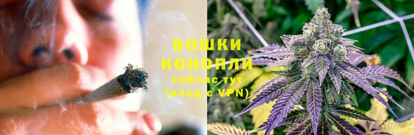 прущие грибы Осташков