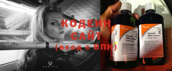 прущие грибы Осташков