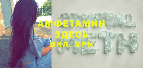 прущие грибы Осташков