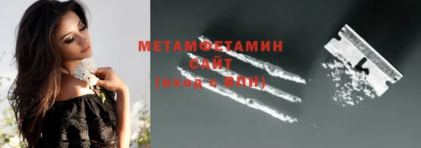 прущие грибы Осташков
