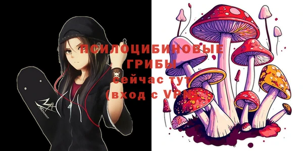 прущие грибы Осташков