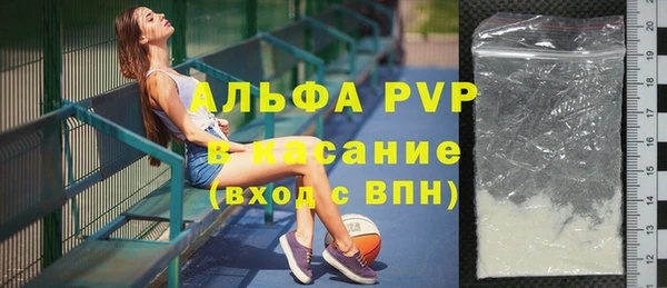 прущие грибы Осташков