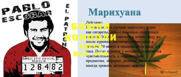 прущие грибы Осташков