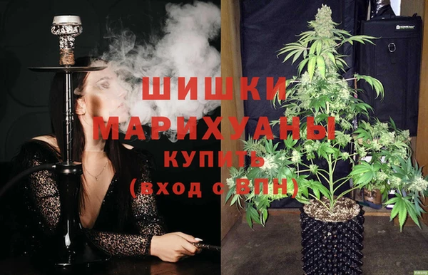 прущие грибы Осташков