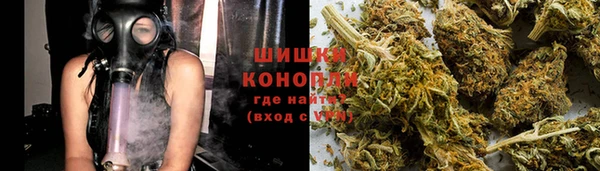 прущие грибы Осташков