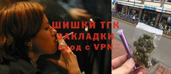 прущие грибы Осташков