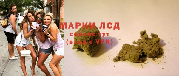 прущие грибы Осташков
