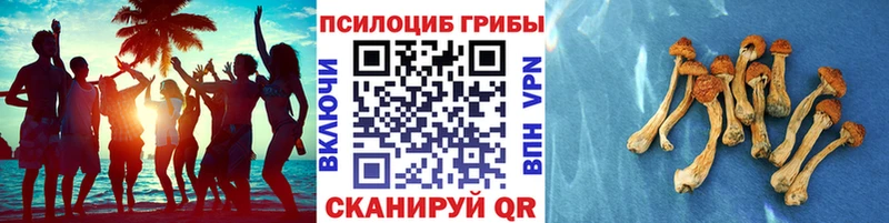 Псилоцибиновые грибы Magic Shrooms  магазин  наркотиков  Пестово 